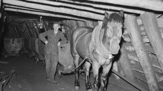Kladenské doly v roce 1949