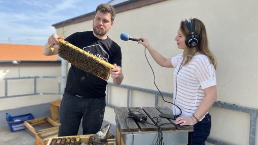 Natáčení seriálu Rozhlasové bzučení