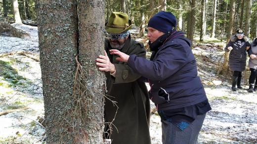 Seminář NP Šumava Pojďme na to od lesa