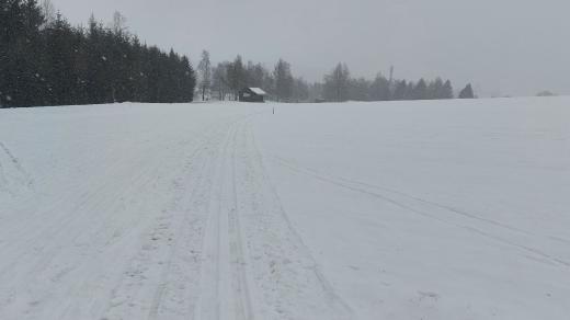 Upravená běžecká stopa