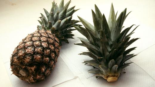 Ananas koupený a sazenice