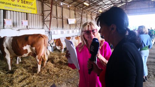 Vysíláme ze Sovětic, kde se koná tradiční Zemědělský den Mžany