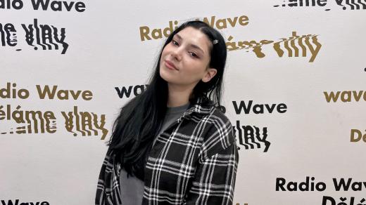 Zpěvačka a songwriterka Pam Rabbit