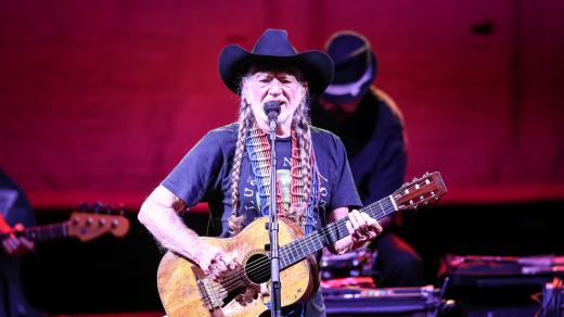 Willie Nelson na snímku z roku 2014