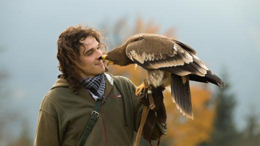 Obora Žleby - sokolník  Ondřej Pelikán