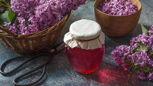 Z květů šeříku se dá vyrobit například sirup