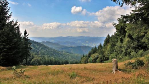 Hostýnsko-vsetínská hornatina