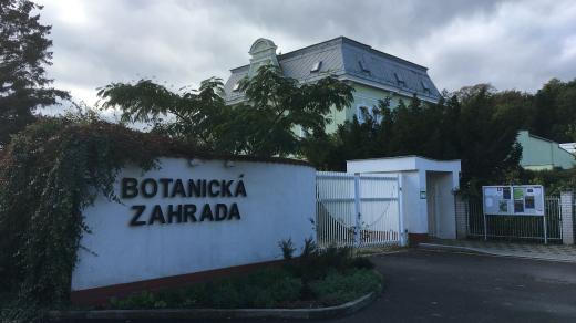 Kdo si chce v těchto podzimních dnech trochu zlepšit náladu, může zajít třeba do botanické zahrady v Teplicích