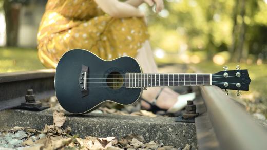Ukulele