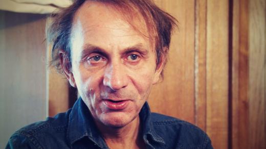 Michel Houellebecq: Elementární částice
