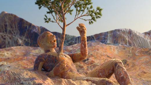 Adaptace na sucho a změnu klimatu