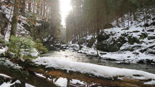 Divoké údolí řeky Doubravy