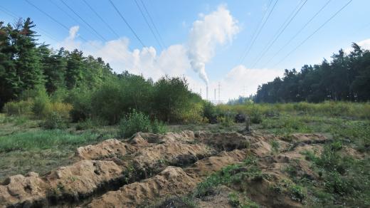 Kousek za opatovickou elektrárnou žijí vzácní motýli, kudlanky i ještěrky