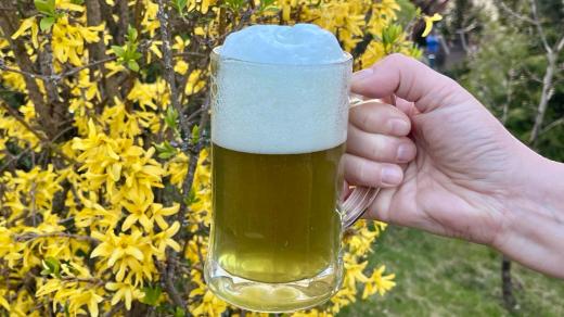 Zelené pivo