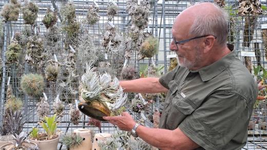 Ředitel liberecké botanické zahrady Miloslav Studnička