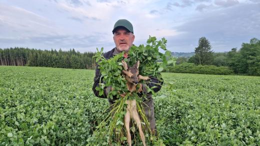 Myslivci a dobrovolníci zachraňují srnčata před jarní sečí