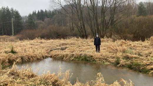 Tůně na zádrž vody v krajině u Adršpachu