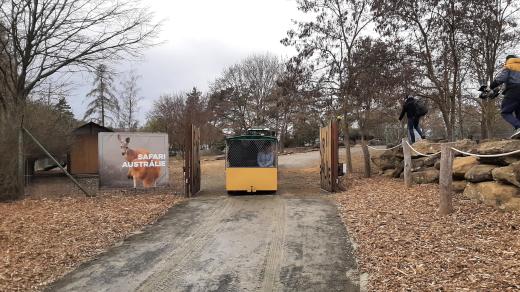 Stezka Safari v ZOO Olomouc