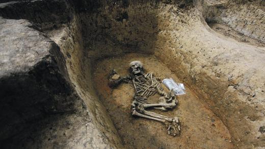 Kostra z archeologického naleziště v Mikulovicích