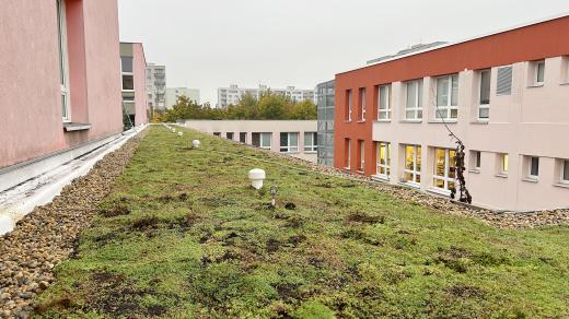 Zelená střecha na základní škole Erno Košťála na sídlišti Dubina v Pardubicích