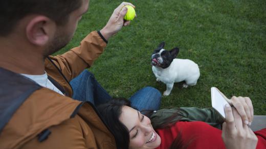 Aplikace (ilustrační foto)