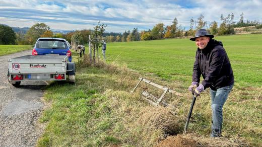 Alej nad Větrovem dostala díky pracovníkům votického úřadu nové stromy