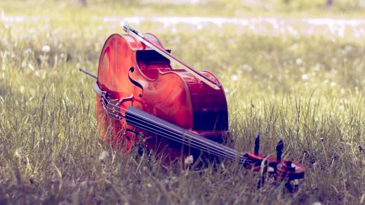 Na violoncello se dá zahrát prakticky cokoli