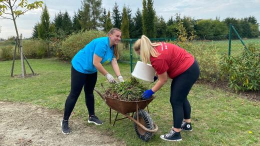 Dobrovolníci z firmy E.ON pomáhají na zahradě chráněného bydlení ve Veselí nad Lužnicí