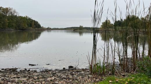 Bohdanečský rybník před tradičním podzimním výlovem