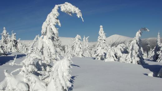 Krkonoše v zimě