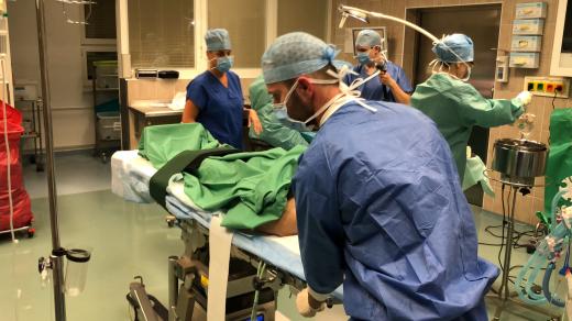 Příprava transplantace orgánů v pražském IKEMu