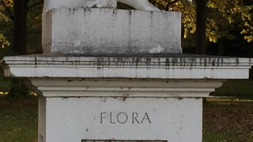 Flora