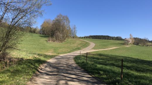 Po krkonošských cestách (rozcestí nad Poniklou, zprava vede od Víchovské Lhoty cesta Mrtvice)