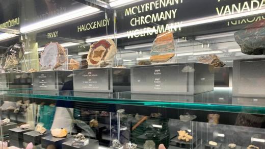Novou stálou archeologickou, přírodovědnou a národopisnou expozici otevřelo Jihočeské muzeum v Českých Budějovicích
