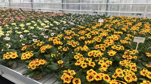 Návštěva olomouckého Florcentra v Olomouci