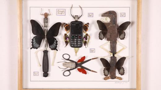 Jan Švankmajer: Motýli nátěroví, 2021, 50cm×40cm