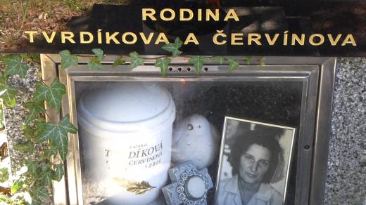 Moje maminka na mě ráda hází šišky