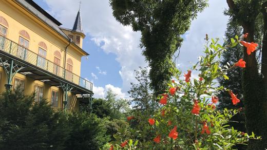 Rozkvetlý zámecký park ve Slatiňanech