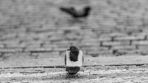 Z dokumentárního snímku Velké nic