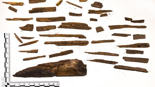 Probíhající archeologický výzkum klášterního areálu v Milevsku přinesl překvapivé výsledky.