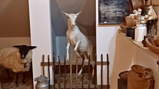 Muzeum venkovského života ve Skotnici