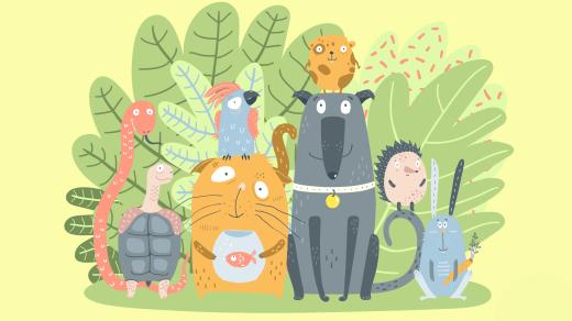 Želví graffiti aneb Mazlíčci zasahují