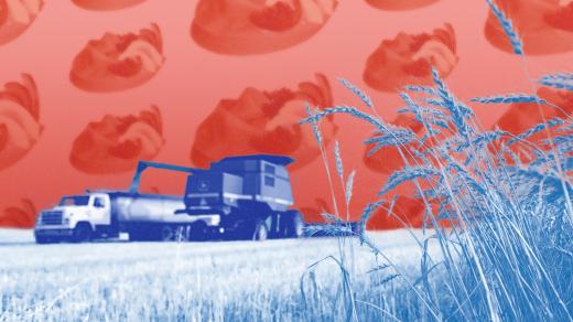 Ministr zemědělství: Český postoj k dohodě EU–Mercosur je takové „ano, ale“