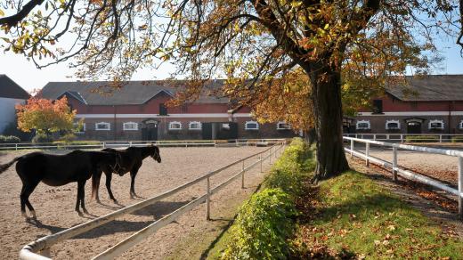 Historický hřebčín v Napajedlích