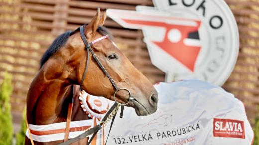 Mr Spex, vítěz Velké pardubické 2022