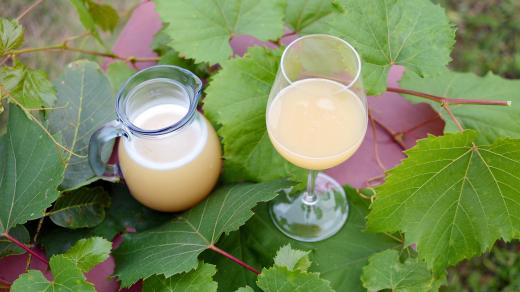 Burčák (ilustrační foto)