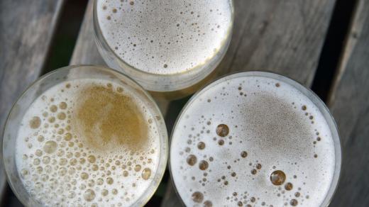 Cidre je takový sekt z jablek
