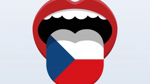 Český jazyk