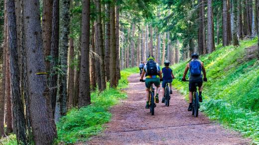 Cykliste, les