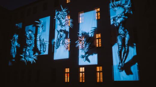 Boris Vitázek a Zuzana Sabová: Second Litany (instalace na Signal festivalu)